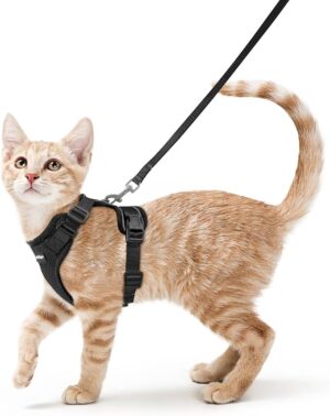 Cat Harness and Leash for Walking, Escape Proof Soft