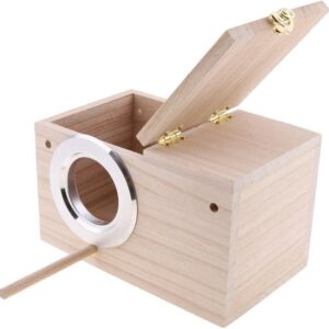 FeatherNest Box